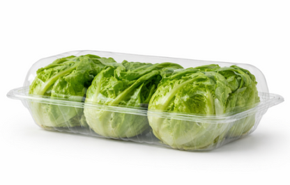 Lettuce