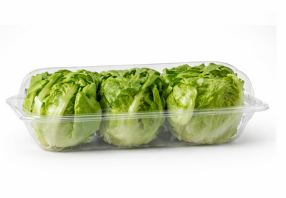 Lettuce