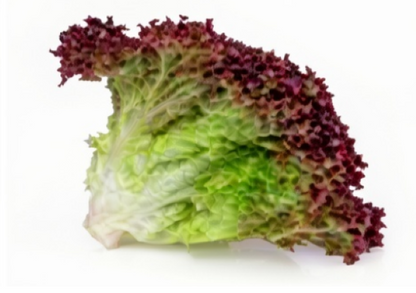 Little Gem Lettuce