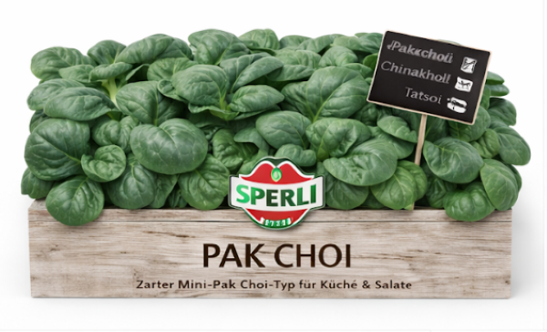 Mini-Pak Choi