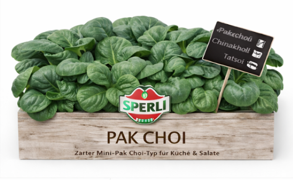 Mini-Pak Choi