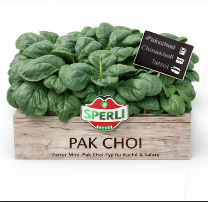 Mini-Pak Choi