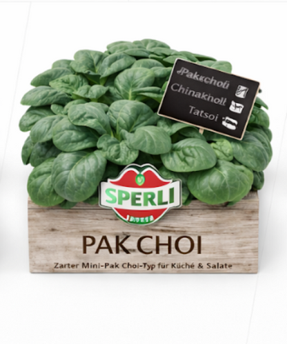 Mini-Pak Choi