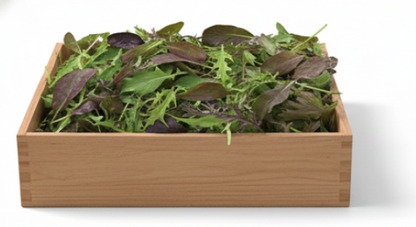 Mixture Of Mixed Lettuce Leaves