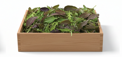 Mixture Of Mixed Lettuce Leaves