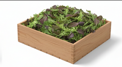 Mixture Of Mixed Lettuce Leaves