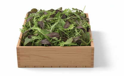 Mixture Of Mixed Lettuce Leaves