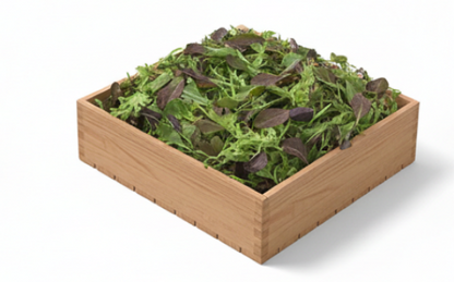 Mixture Of Mixed Lettuce Leaves