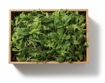 Mixture Of Wonderful Varieties