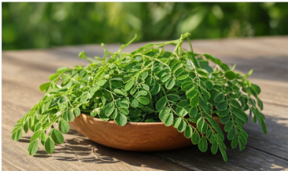 Moringa Leaves
