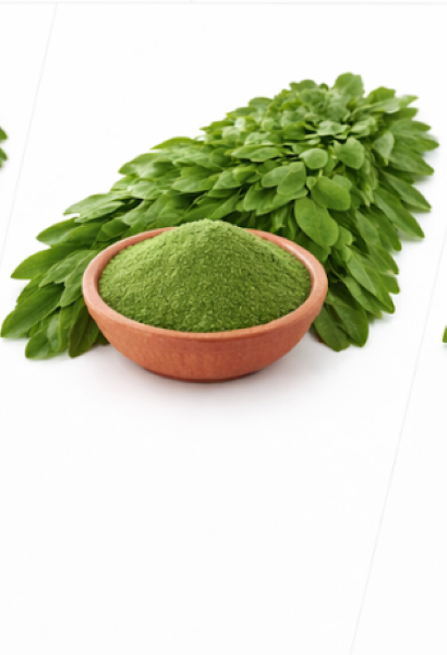 Moringa Leaves