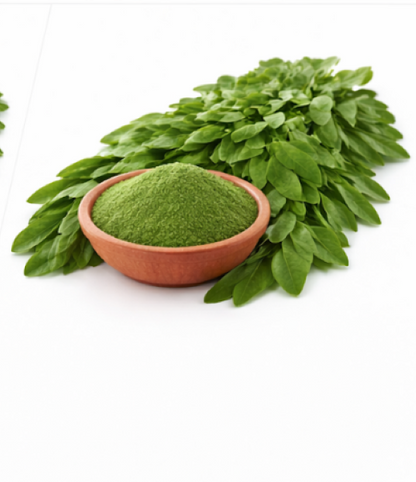 Moringa Leaves
