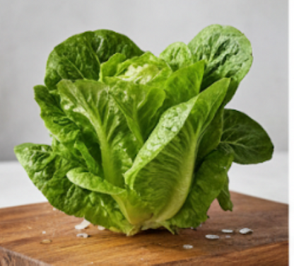 Nancy Butter Lettuce