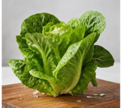 Nancy Butter Lettuce