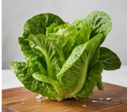 Nancy Butter Lettuce