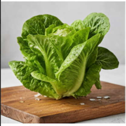Nancy Butter Lettuce