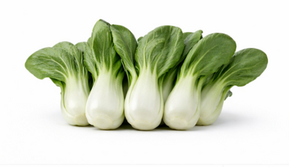 Pak Choi Cabbage (Chinese) White