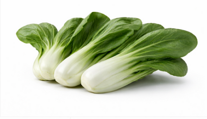 Pak Choi Cabbage (Chinese) White