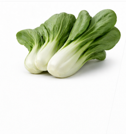 Pak Choi Cabbage (Chinese) White