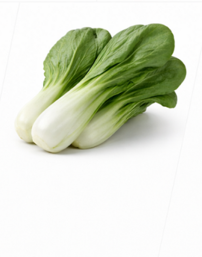 Pak Choi Cabbage (Chinese) White
