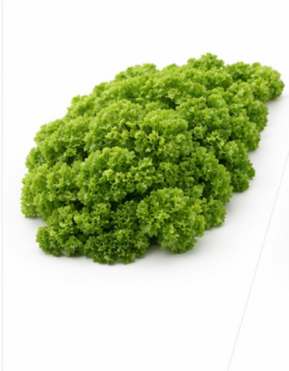 Parsley Mooskrause