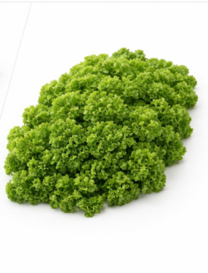 Parsley Mooskrause