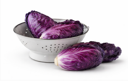 Rectangular Purple Cabbage