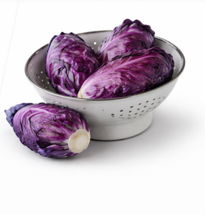 Rectangular Purple Cabbage