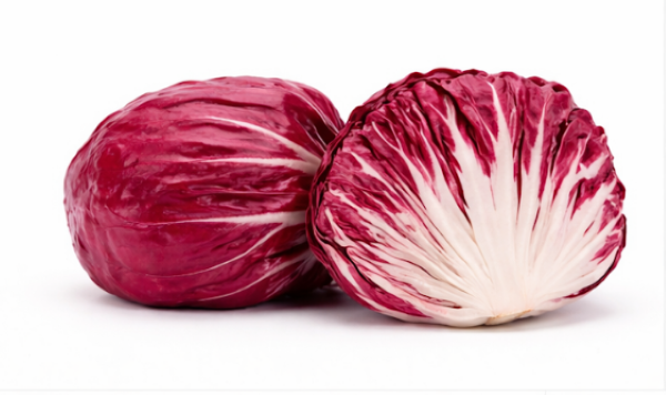 Red Chicory