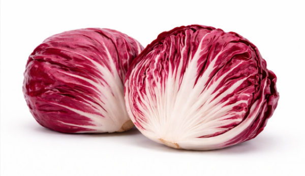 Red Chicory