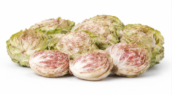 Red Chicory Of Verona