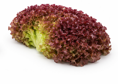 Red Fire Lettuce