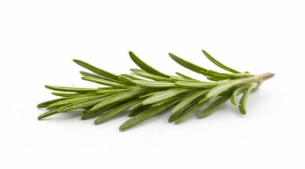 Rosemary