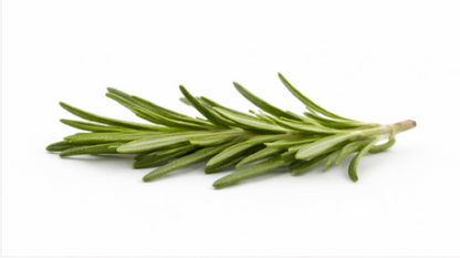 Rosemary