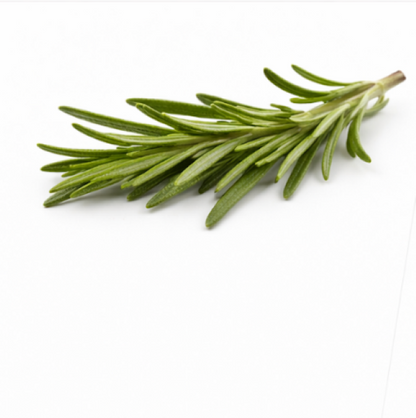 Rosemary