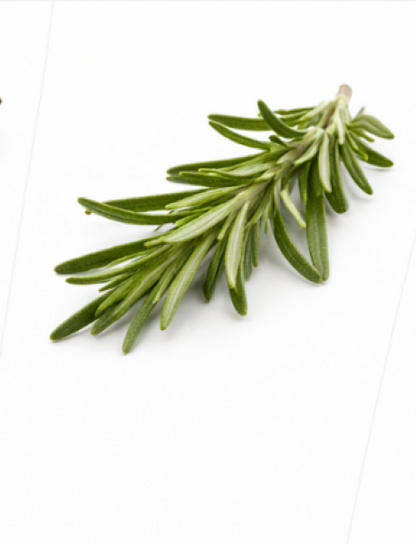 Rosemary