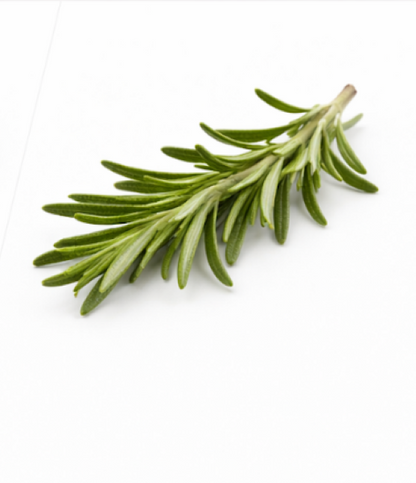 Rosemary