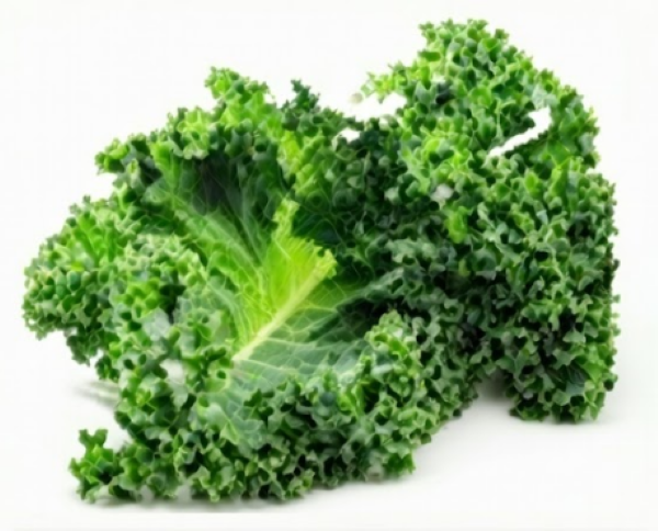 Russian Kale