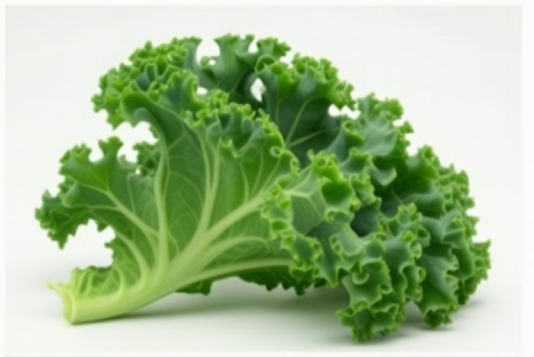 Russian Kale