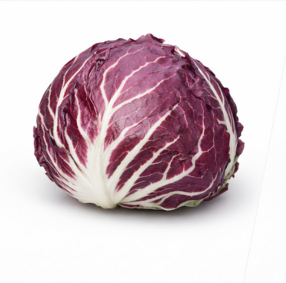 Russian Red Cabbage