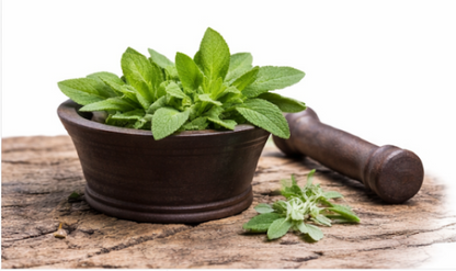 Sage