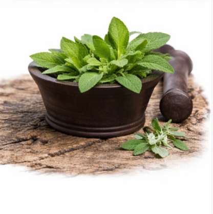 Sage