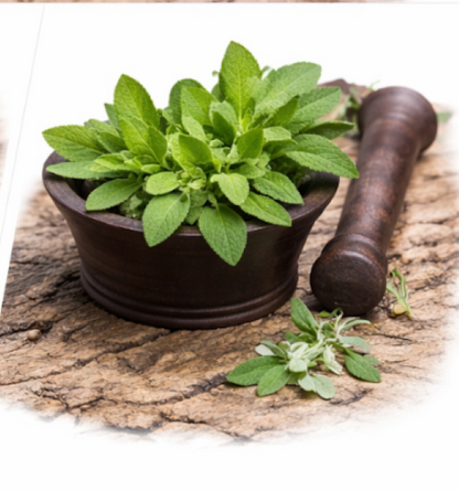 Sage