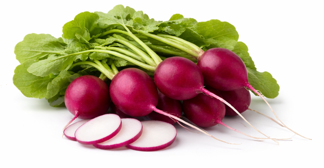 Violet Malaga Radish