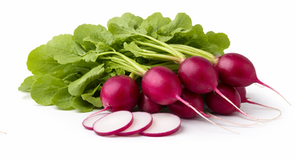 Violet Malaga Radish