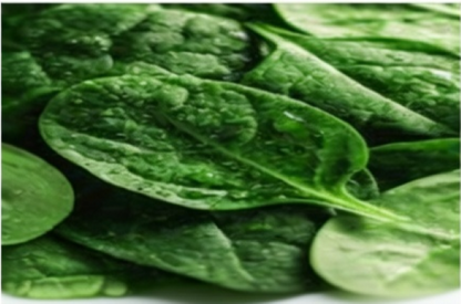 Spinach