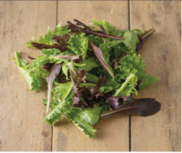 Starstruck Lettuce Mix