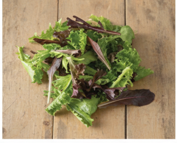 Starstruck Lettuce Mix