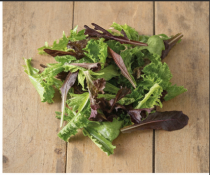 Starstruck Lettuce Mix