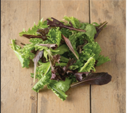 Starstruck Lettuce Mix